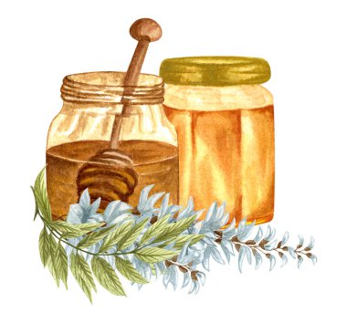 Watercolor illustration of acacia honey on white background. Hand drawn set white acacia wisteria flower, honey jar and barrel.