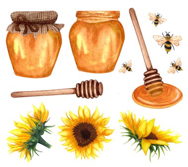 Watercolor healthy honey in glass jars with sunflower flowers. Hand drawn set of organic food, bees, sunflowers wooden honey dipper.