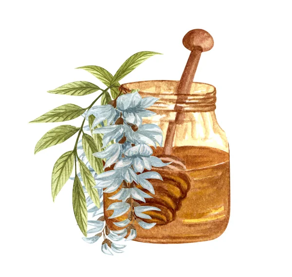 Watercolor Illustration Acacia Honey White Background Hand Drawn Set White — Stockfoto