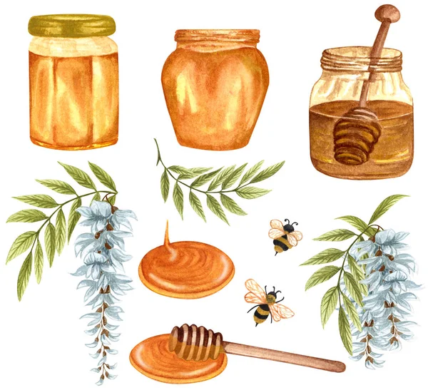 Watercolor illustration of acacia honey on white background. Hand drawn set white acacia wisteria flower, bees, honey jar and barrel.