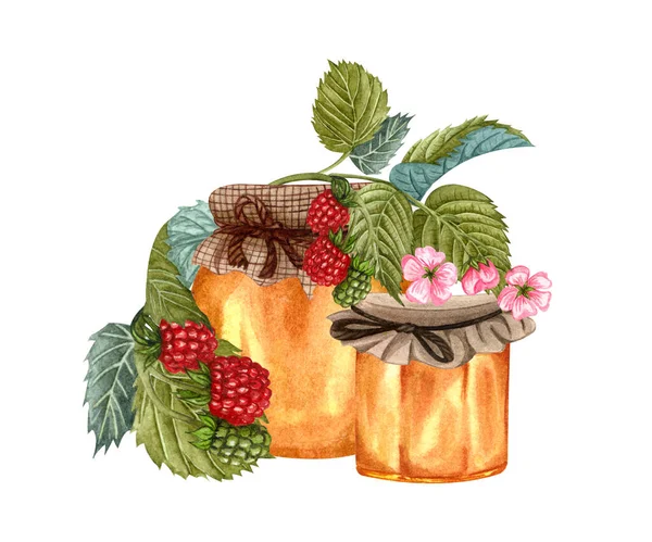 Watercolor honey jar and fresh forest raspberry twig. Hand drawn organic food illustration isolated on white background. Raspberry honey