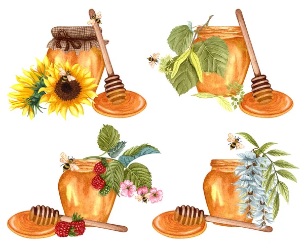 Watercolor Set Different Honey Honey Jar Sunflower Acacia Linden Raspberry — Stockfoto