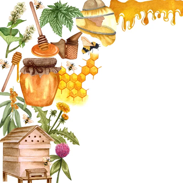 Watercolor Honey Colorful Frame Honeycombs Plants Dipping Bees Honey Pot — 图库照片