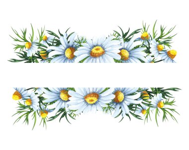 Watercolor floral wreath with chamomile flowers,leaves, foliage, branches, fern leaves and place for text. Perfect for wedding, invitations, greeting cards, print. Wildflowers bouquet.