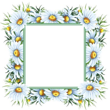 Watercolor floral wreath with chamomiles, leaves, foliage, branches, fern leaves and place for your text. Perfect for wedding invitations, greeting cards. Angled wildflowers frame.