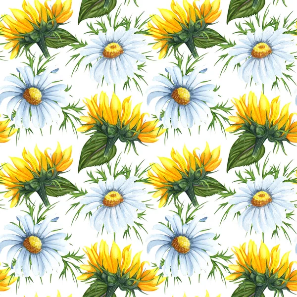 Watercolor Seamless Pattern Sunflowers Chamomile Flowers Hand Drawn Beckground Wildflowers — 스톡 사진