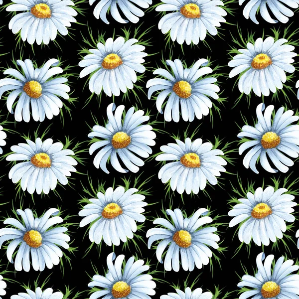 Watercolor Seamless Pattern Big Chamomile Flowers Hand Drawn Beckground White —  Fotos de Stock