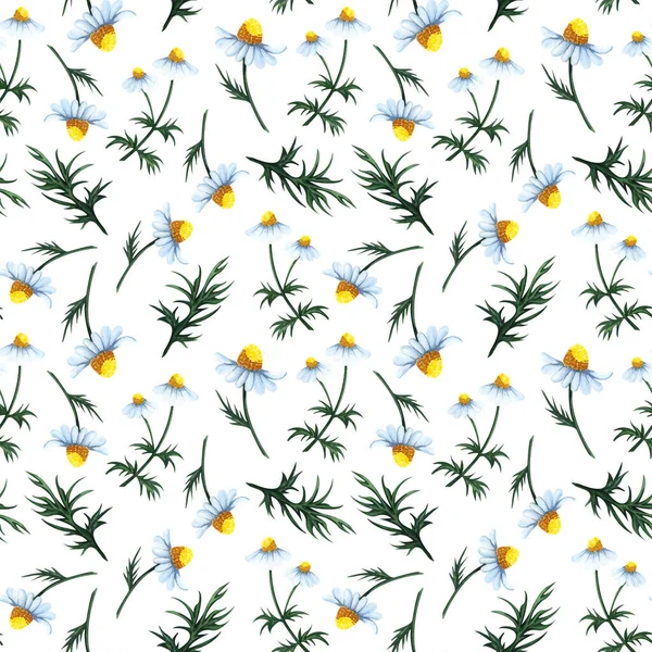 Watercolor Seamless Pattern Different Chamomile Flowers Leaves Hand Drawn Beckground —  Fotos de Stock