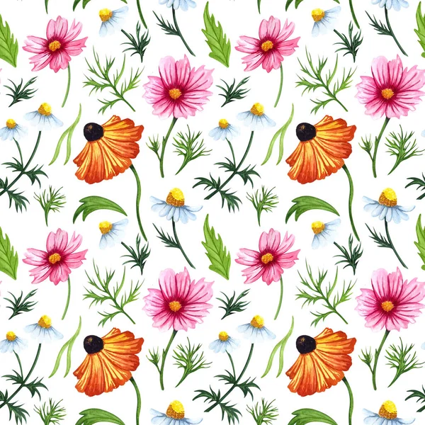 Watercolor Wild Flowers Illustration Hand Drawn Seamless Pattern Cosmos Chamomile — Stock Photo, Image
