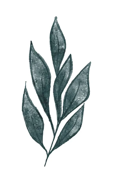 水彩画の写実的な緑は小枝に残る 白地に隔離された手描きの植物図 — ストック写真