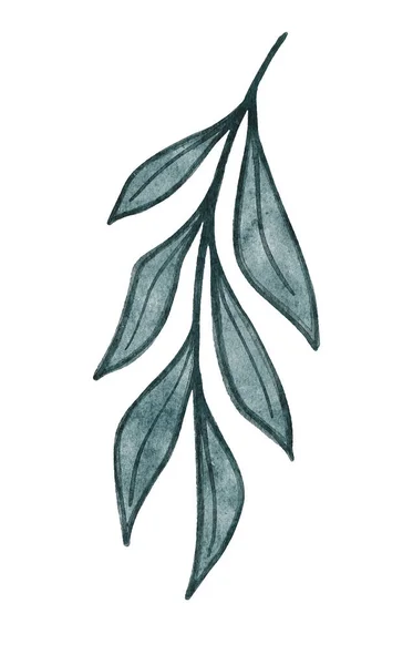 Akvarell Reális Zöld Levelek Gallyakon Kézzel Festett Botanikai Illusztráció Elszigetelt — Stock Fotó