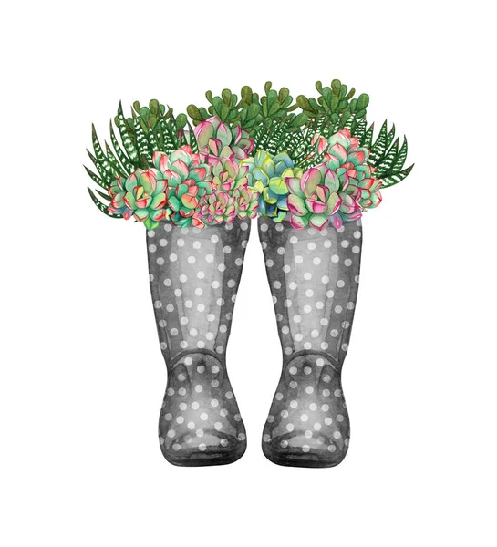 Watercolor Wellies Flowers Illustration Provence Style Rubber Boots Bouquet Flowers — Foto Stock