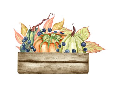 Suluboya çiçekli balkabağı bileşimi. Pastel balkabağı ve çiçek kırsal tarzda düzenlenir. Pas ve yanmış portakal çiçekleri, yapraklar ve yapraklar. Sonbahar davet şablonu.