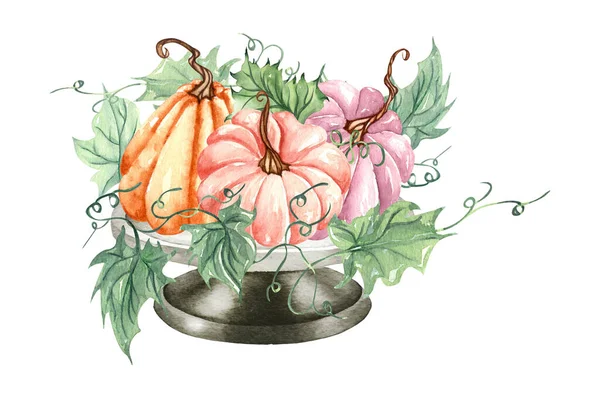 Akvarell Virágos Sütőtök Összetétele Pasztell Tök Virágok Elrendezése Rusztikus Stílusban — Stock Fotó