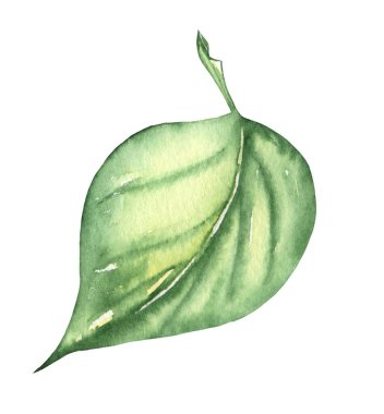 Parlak, renkli sonbahar yaprağı. Suluboya sonbahar çizimi.