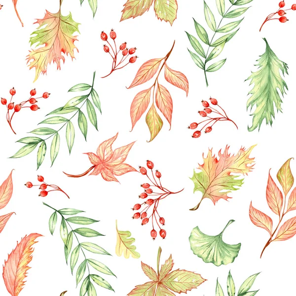Бесцветный Осенний Узор Акварельными Цветными Листьями Акварель Осенью — стоковое фото