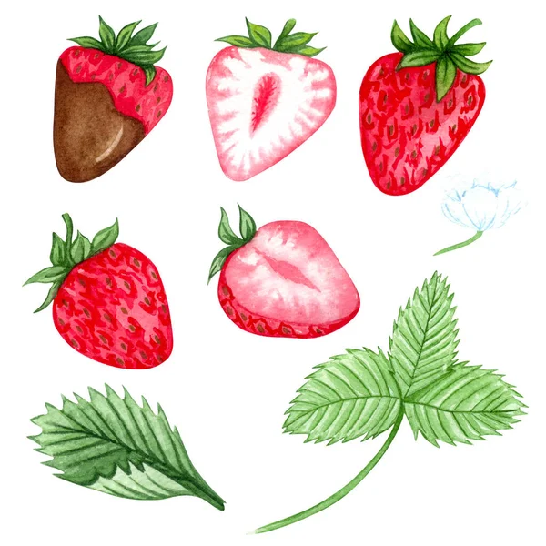 一套水彩画草莓 手绘插图 成熟的红色浆果和绿叶 夏天草莓 — 图库照片