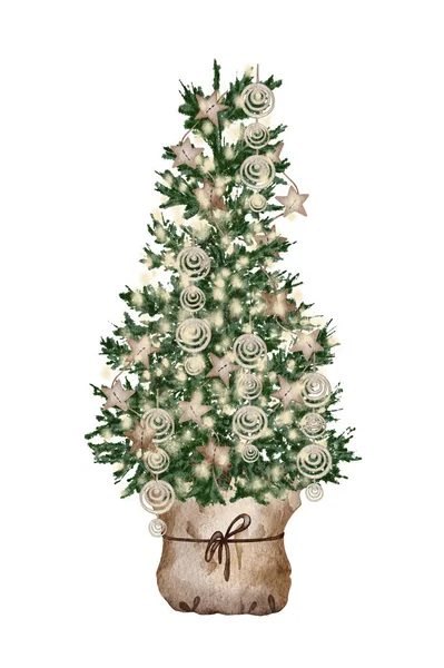 Evergreen Pine Tree Rustic Pot Christmas Lights Pine Cone Firry — Φωτογραφία Αρχείου