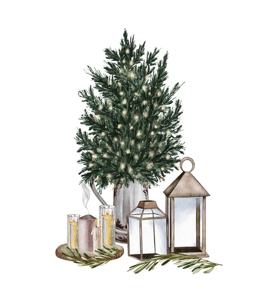 Evergreen Pine Tree Rustic Pot Christmas Lights Pine Cone Firry — Stok fotoğraf