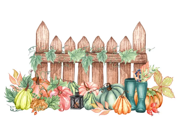 Ilustrace Podzimní Akvarely Podzimní Dýně Listy Uspořádání Rustikálním Stylu Kliparty — Stock fotografie