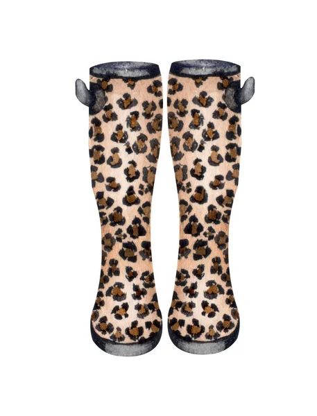 Colección Wellies Animal Print Botas Goma Otoño Concepto Otoño Ilustración — Foto de Stock