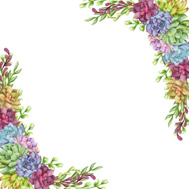 Yeşillik, sulu ve dallar beyaz arka planda çerçevelenmiş. Davet ya da tebrik kartı, pankart, arkaplan için güzel şablon.