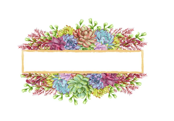Зелень Суккуленти Гілки Обрамляють Рамку Білому Тлі Красивий Шаблон Запрошення — стокове фото