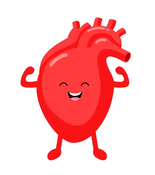 Human Heart Cartoon Character Strong Healthy Happy Heart Heart Awareness — Stock vektor