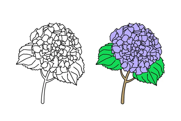 Hydrengea Flower Leave Line Art Style Vector Illustration —  Vetores de Stock