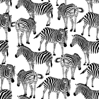 Zebra Dikişsiz desen. Vahşi hayvan dokusu. Siyah ve beyaz çizgili. Tasarım trendy kumaş doku, vektör illüstrasyon.