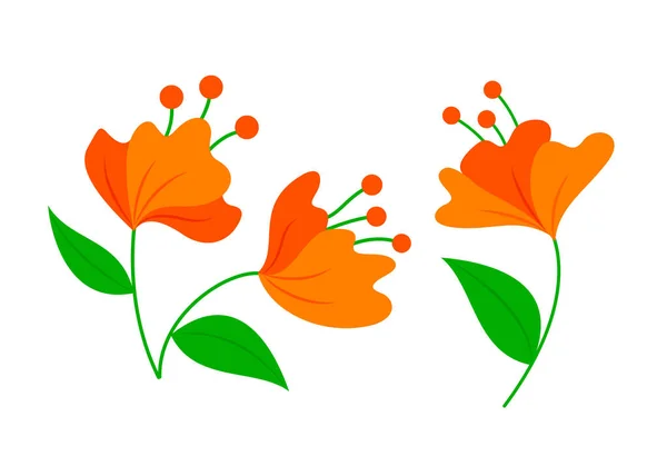 Orange Flowers Leaves Spring Botanical Vector Illustration — стоковый вектор