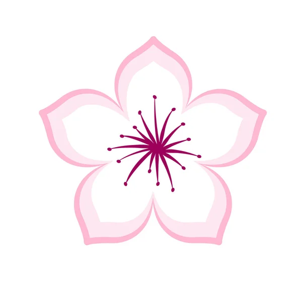 Conception Icône Graphique Fleurs Cerisier Illustration Vectorielle — Image vectorielle