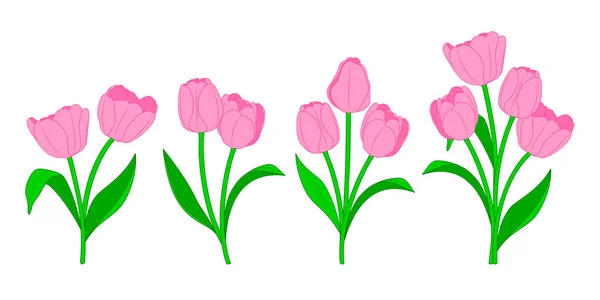 Ramas Tulipanes Rosados Hojas Verdes Ramo Primavera Ilustración Vectorial Floral — Vector de stock