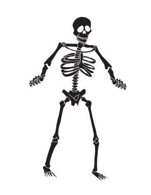 Silhouette black human skeleton. Anatomy Bone, vector illustration.
