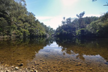 Briagalong Gippsland yakınlarındaki Mavi Havuz Victoria Avustralya