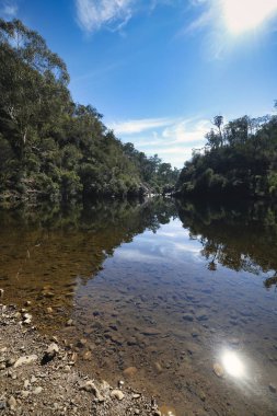 Briagalong Gippsland yakınlarındaki Mavi Havuz Victoria Avustralya