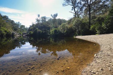 Briagalong Gippsland yakınlarındaki Mavi Havuz Victoria Avustralya