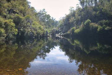 Briagalong yakınlarındaki Mavi Havuz Gippsland Victoia Avustralya
