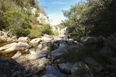 Briagalong Gippsland yakınlarındaki Mavi Havuz Victoria Avustralya