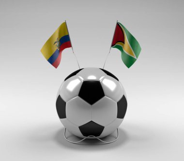 Ekvador - Guyana Futbol Bayrakları, Beyaz Arkaplan - 3D Render