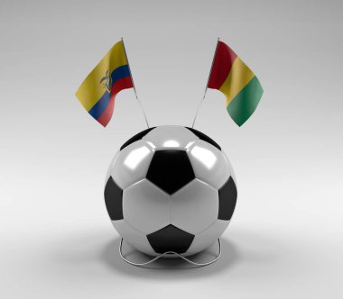 Ekvador - Gine Futbol Bayrakları, Beyaz Arkaplan - 3D Render