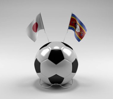 Japonya - Svaziland Futbol Bayrakları, Beyaz Arkaplan - 3D Render