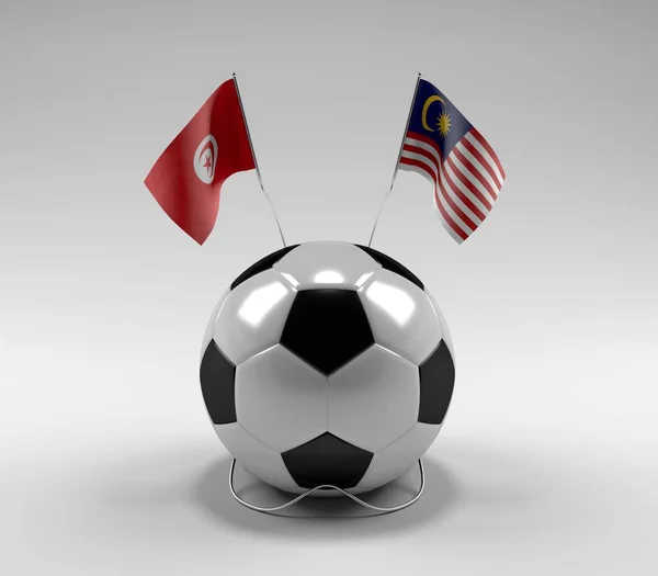 Tunisia Malaysia Football Flags White Background Render — Stock Photo, Image