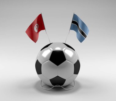 Tunus - Botswana Futbol Bayrakları, Beyaz Arkaplan - 3D Render