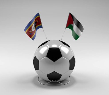Svaziland - Filistin Futbol Bayrakları, Beyaz Arkaplan - 3D Render