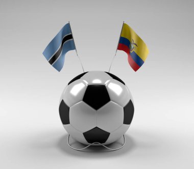 Botswana - Ekvador Futbol Bayrakları, Beyaz Arkaplan - 3D Render