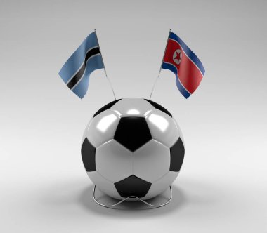 Botswana - Kuzey Kore Futbol Bayrakları, Beyaz Arkaplan - 3D Render