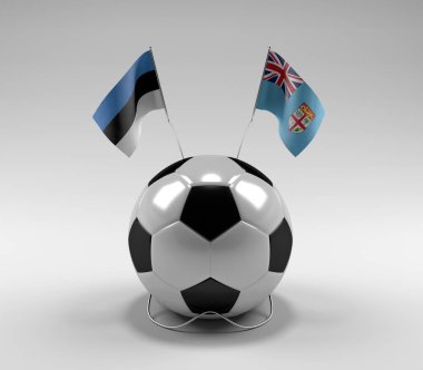 Estonya - Fiji Futbol Bayrakları, Beyaz Arkaplan - 3D Render