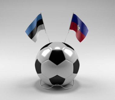 Estonya - Haiti Futbol Bayrakları, Beyaz Arkaplan - 3D Render