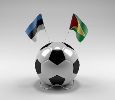 Estonya - Guyana Futbol Bayrakları, Beyaz Arkaplan - 3D Render